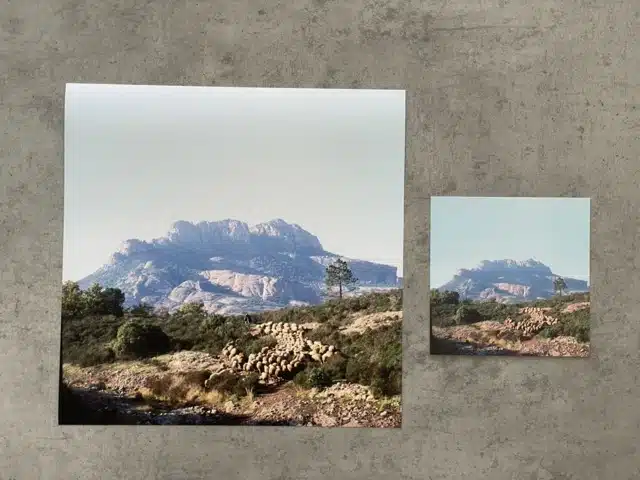 Poster photo "Le berger et ses moutons sur le Rocher de Roquebrune" en Provence - photo André Abbe – Image 2