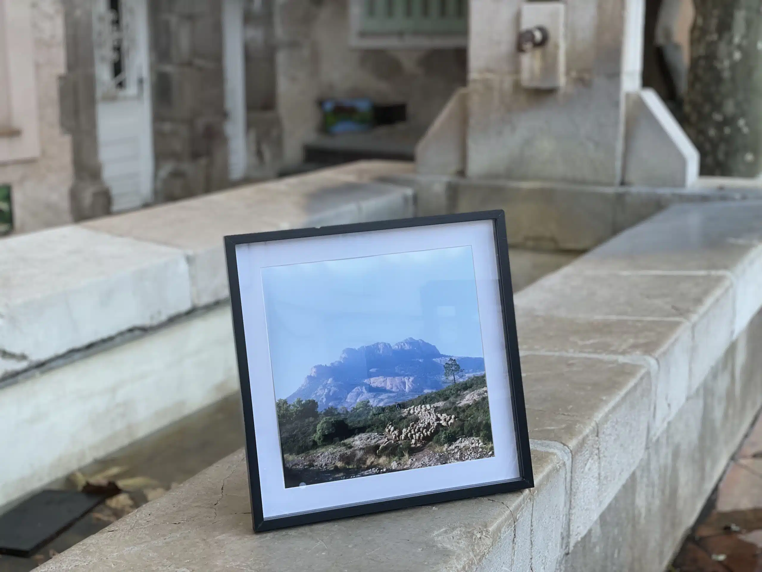 Poster photo "Le berger et ses moutons sur le Rocher de Roquebrune" en Provence - photo André Abbe