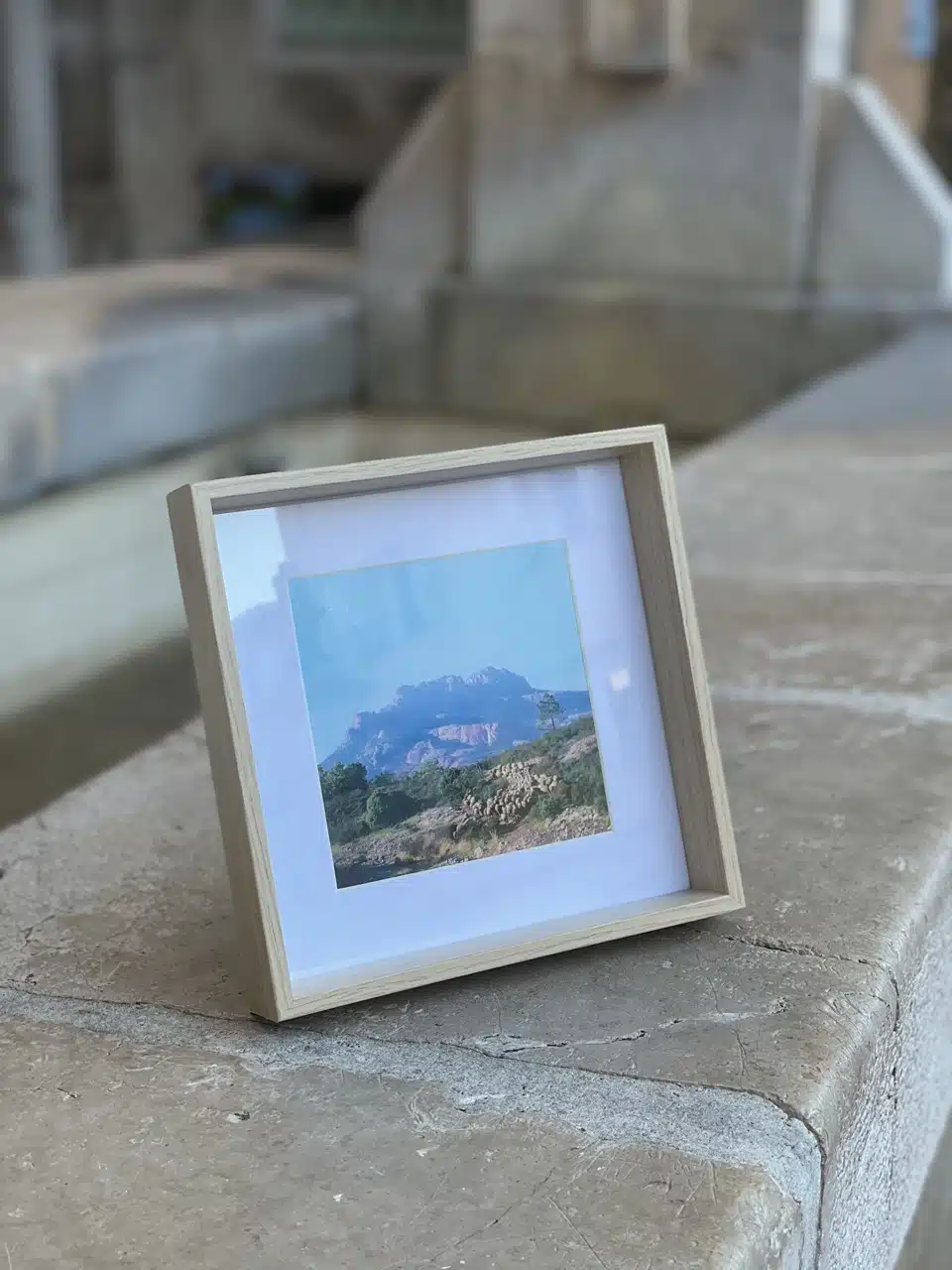 Carte postale "Le berger et ses moutons sur le Rocher de Roquebrune" en Provence - photo André Abbe – Image 4