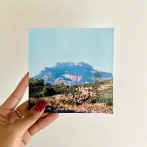 Carte postale "Le berger et ses moutons sur le Rocher de Roquebrune" en Provence - photo André Abbe
