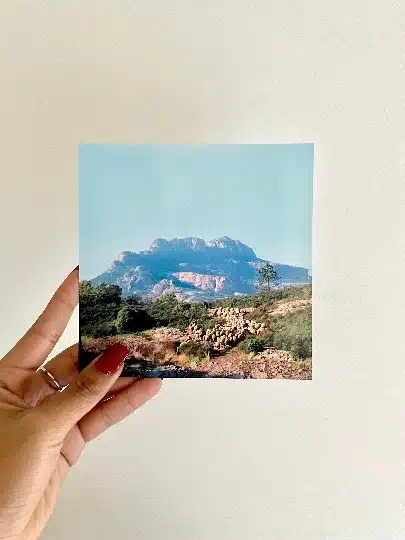 Carte postale "Le berger et ses moutons sur le Rocher de Roquebrune" en Provence - photo André Abbe