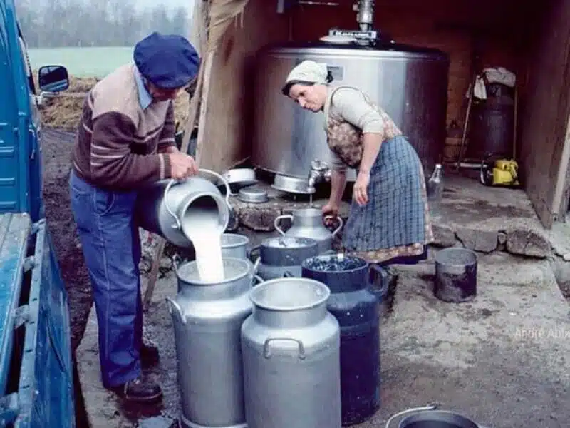 un-homme-et-une-femme-versent-le-lait-dans-les-bidons