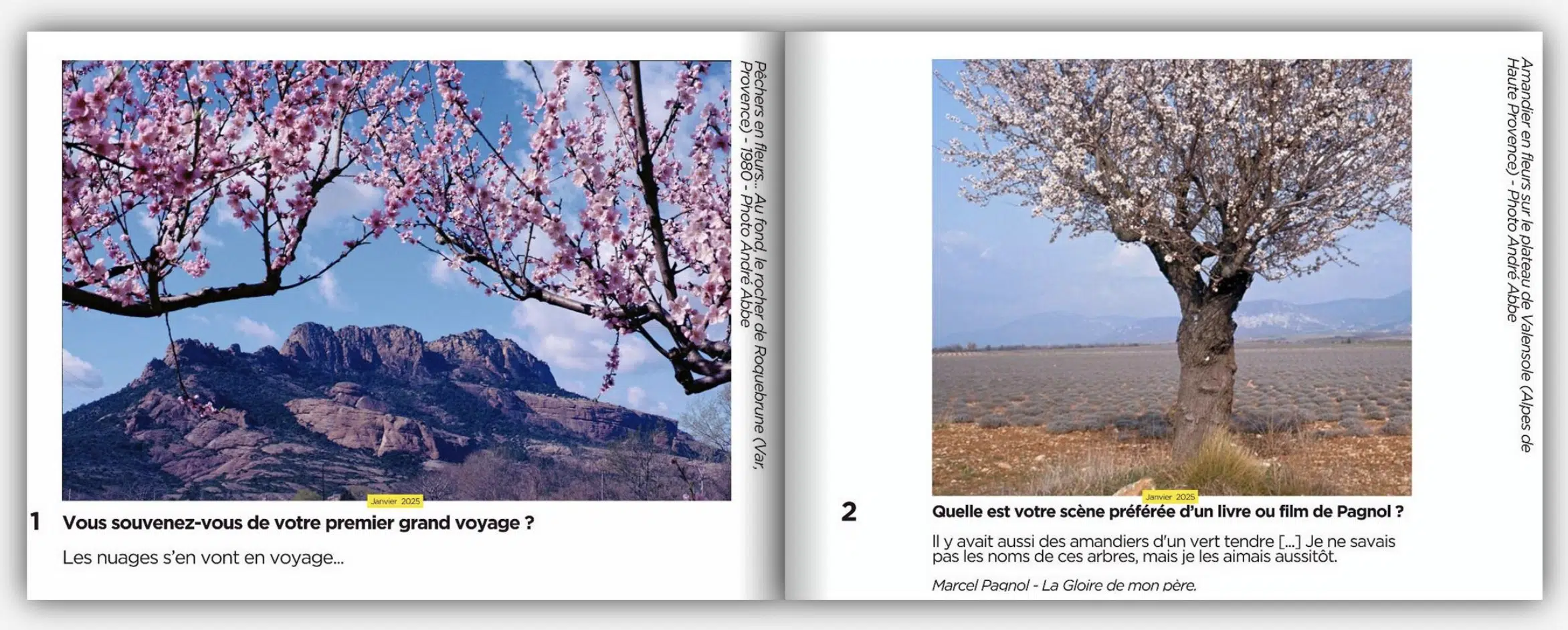 Livre photo Fleurs et parfums de Provence (1970-2000) - André Abbe – Image 2