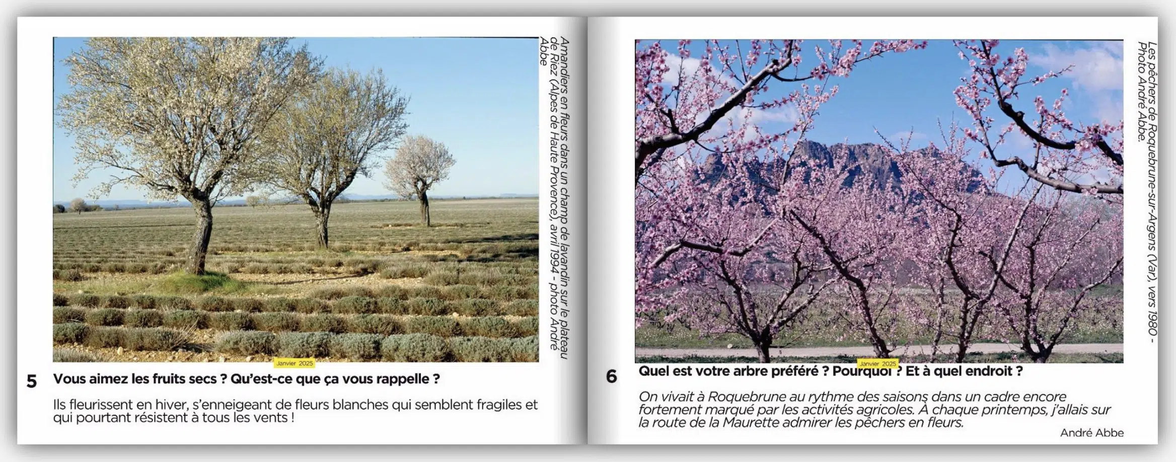 Livre photo Fleurs et parfums de Provence (1970-2000) - André Abbe – Image 3