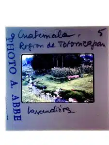 Sauver ses archives photo, notamment les diapositives !